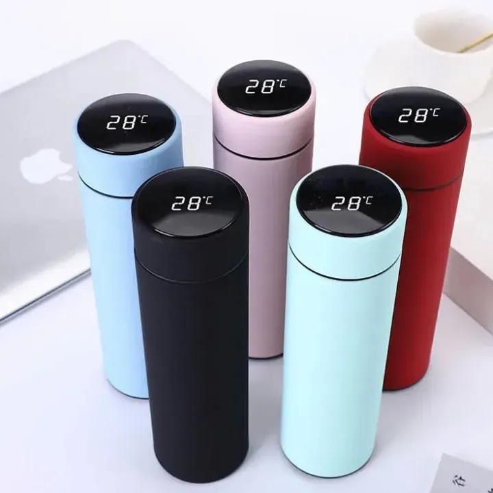 Stainless Steel Temperature Water Bottle