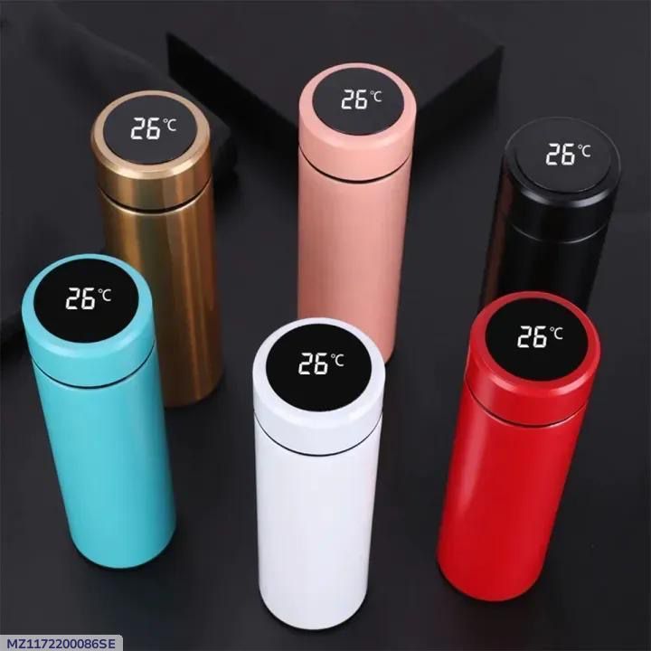 Stainless Steel Temperature Water Bottle