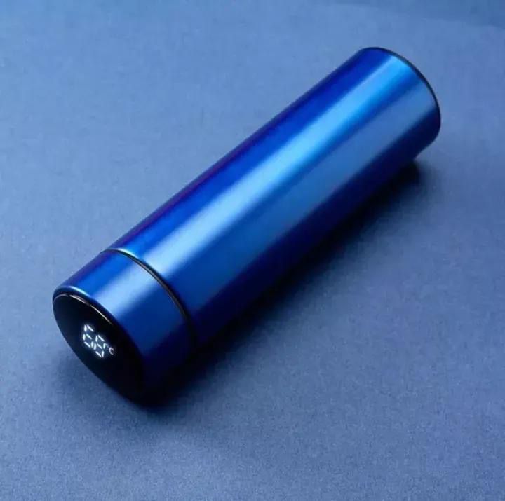 Stainless Steel Temperature Water Bottle